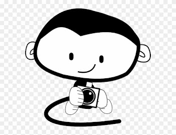 Monkeyholding A Camera