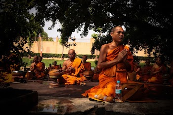 Monks Wearing Orange Robe Mediating