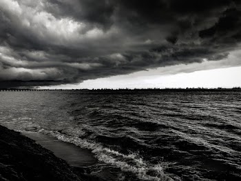 Monochromatic Photo Of Calm Body of Water