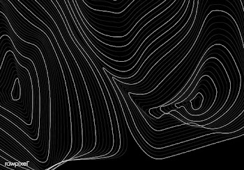 Monochrome abstract contour line illustration | Free stock vector - 554231
