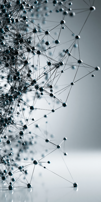 Monochrome Financial Network Topology