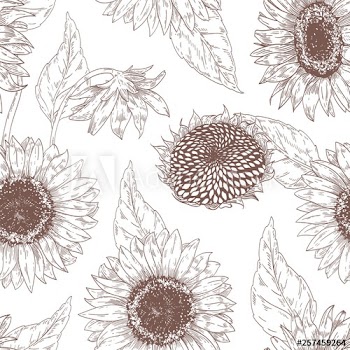 Monochrome floral seamless pattern with sunflower heads