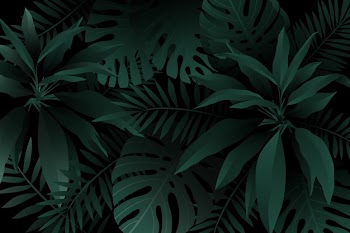 Monochrome green realistic dark tropical leaves background Free Vector