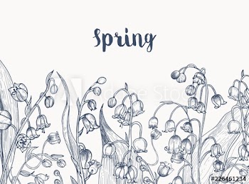 Monochrome horizontal backdrop with lily of the valley flowering plants hand drawn with contour lines on white background and handwritten word Spring