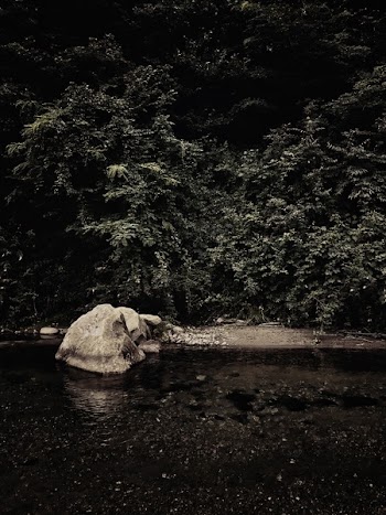 Monochrome Photo of a River