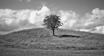 Monochrome Photo of a Tree on Hill