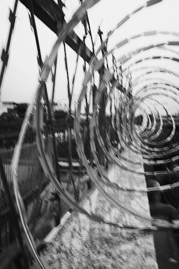 Monochrome Photo of Barbed Wires