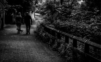 Monochrome Photo of Couple Walking Near Plants 