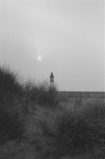 Monochrome Photo of Grass Near a Lighthouse · Free Stock Photo