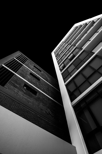 Monochrome Photo of High-Rise Buildings
