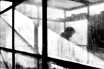 Monochrome Photo Of Person Standing Inside