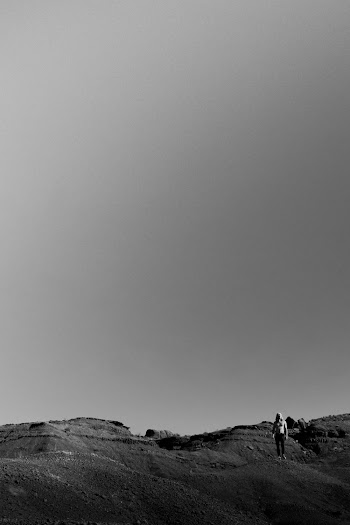 Monochrome Photo Of Person Standing On Desert