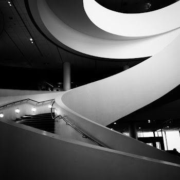 Monochrome Photo of Stairs
