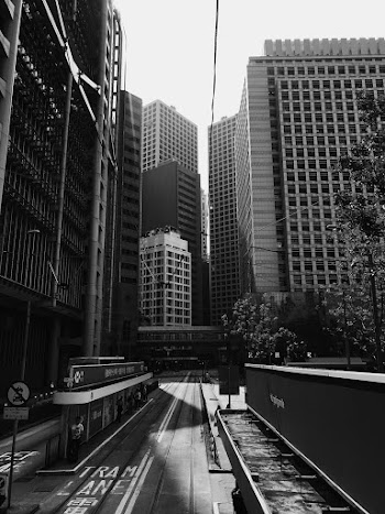 Monochrome Photo of Waiting Shed Near Buildings