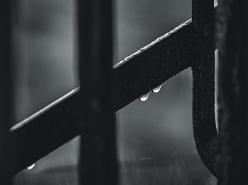 Monochrome Photo of Wet Metal Frame