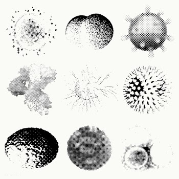 Monotone coronavirus cell under microscope design element on a white b.. | Free  vector - 2319146