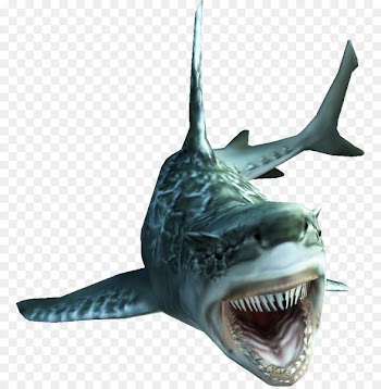 Monster Hunter Tri Monster Hunter 4 Ultimate Monster Hunter 3 Ultimate Fish - sharks 