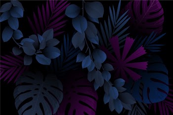 Monstera and leaves realistic dark tropical background Free Vector
