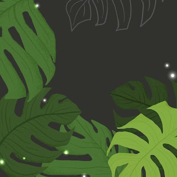 Monstera background vector botanical… | Free stock illustration | High Resolution graphic