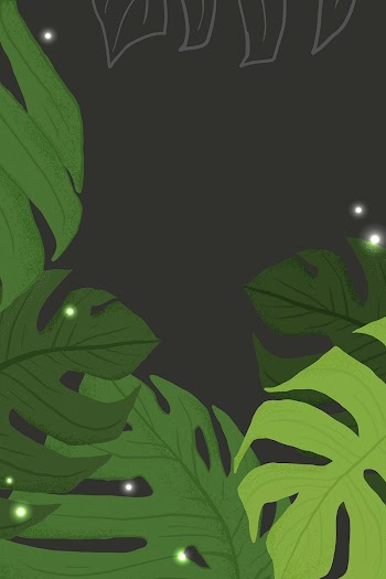 Monstera background vector tropical… | Free stock illustration | High Resolution graphic