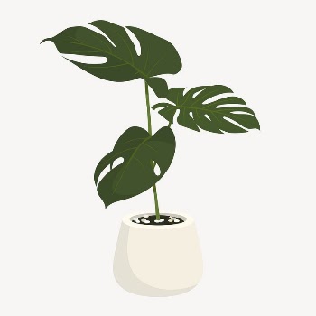 Monstera collage element, cute cartoon | Free Vector Illustration - rawpixel