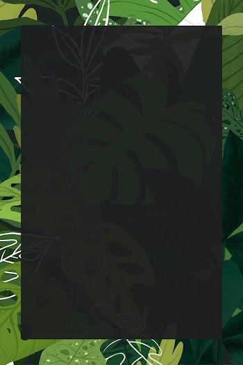 Monstera frame vector tropical leaf botanical… | Free stock illustration | High Resolution graphic
