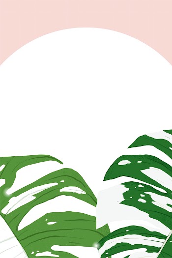Monstera frame vector tropical leaf botanical… | Free stock illustration | High Resolution graphic