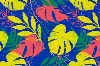 Monstera leaf background, nature pattern | Free Photo - rawpixel