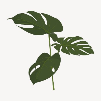 Monstera leaf collage element, cute | Free Vector Illustration - rawpixel