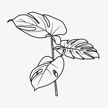 Monstera leaf doodle clipart, cute | Free PSD Illustration - rawpixel