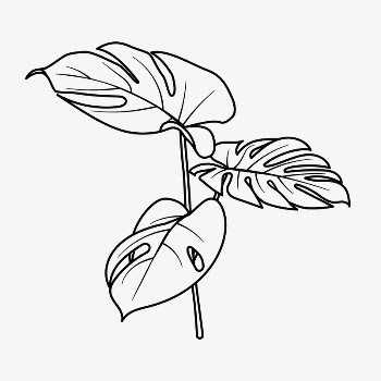 Monstera leaf doodle collage element, | Free Vector Illustration - rawpixel