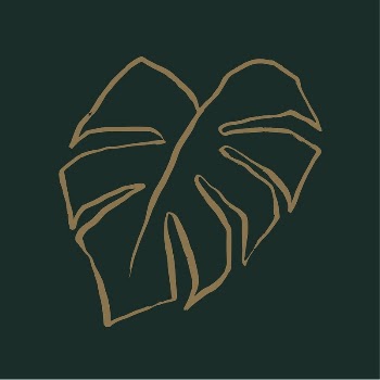 Monstera leaf line art, aesthetic | Free Photo - rawpixel