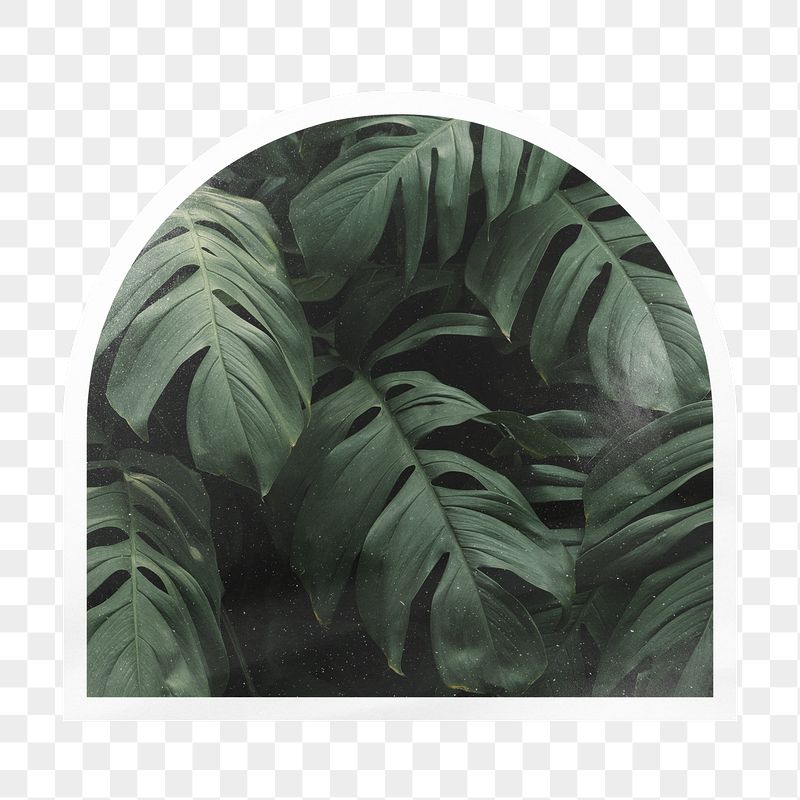 Monstera leaf png arc badge | Free PNG - rawpixel