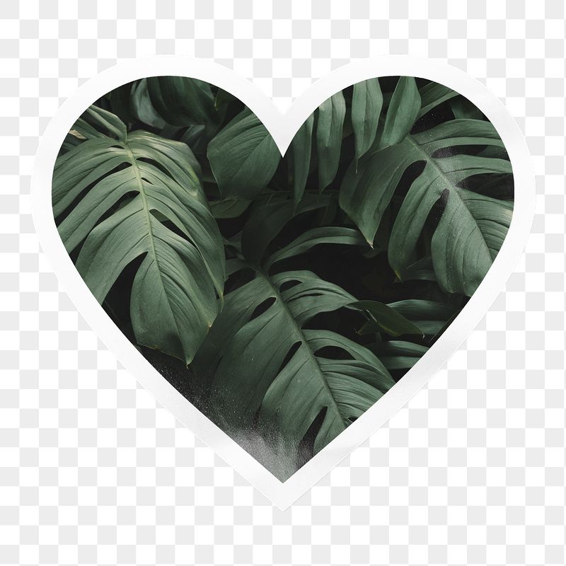 Monstera leaf png heart badge | Free PNG - rawpixel