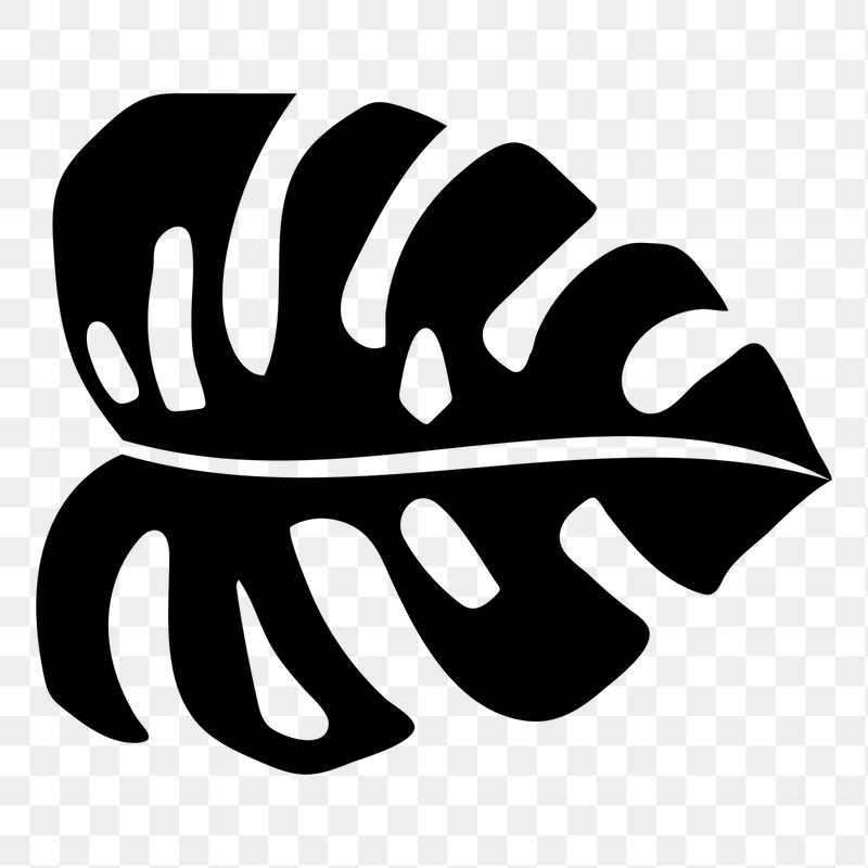 Monstera leaf png sticker, transparent | Free PNG - rawpixel