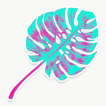 Monstera leaf pop art style design element sticker | Free  transparent png - 2337570