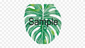 Monstera Leaf - Swiss Cheese Plant