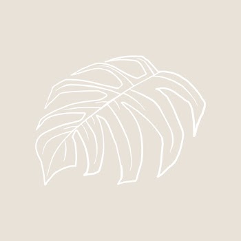 Monstera leaf vector doodle botanical… | Free stock illustration | High Resolution graphic