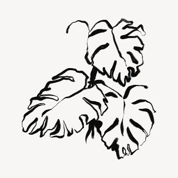 Monstera leaves line art, Chinese | Free Photo - rawpixel
