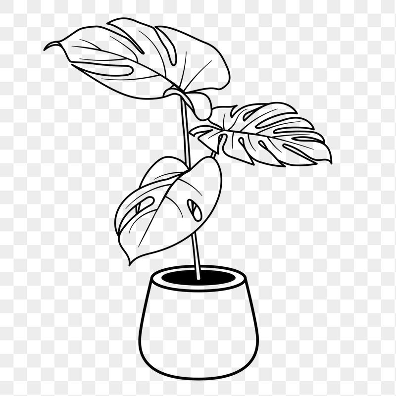 Monstera png doodle sticker, black | Free PNG Illustration - rawpixel