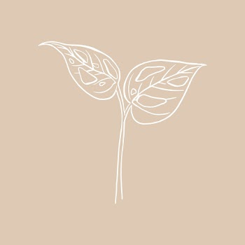 Monstera swiss cheese leaf psd doodle… | Free stock illustration | High Resolution graphic