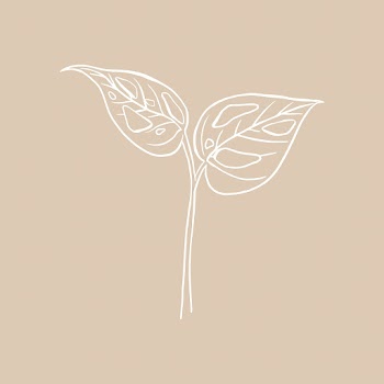 Monstera swiss cheese leaf vector doodle… | Free stock illustration | High Resolution graphic