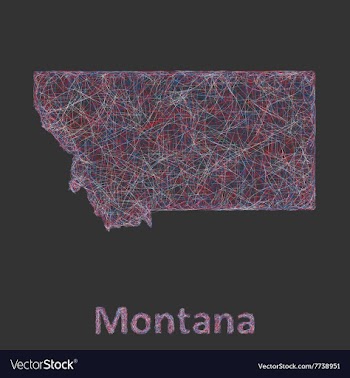 Montana line art map vector image