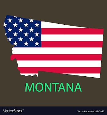 Montana state of america with map flag print on vector image