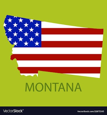 Montana state of america with map flag print on vector image