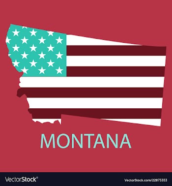 Montana state of america with map flag print on vector image