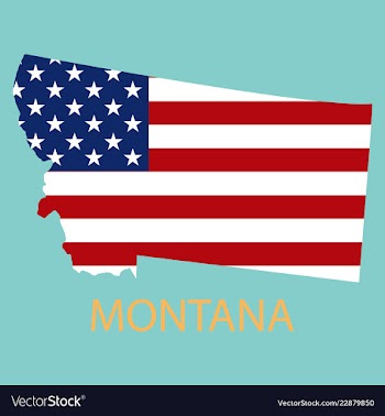 Montana state of america with map flag print on vector image