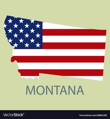 Montana state of america with map flag print on vector image