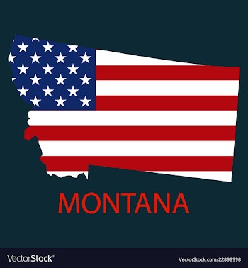 Montana state of america with map flag print on vector image