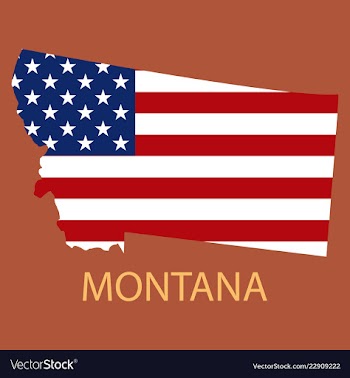 Montana state of america with map flag print on vector image